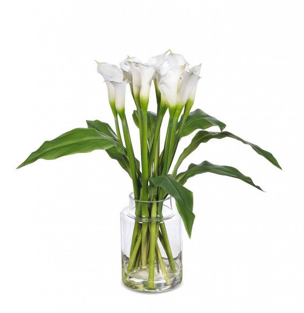Calla Lily in Vase